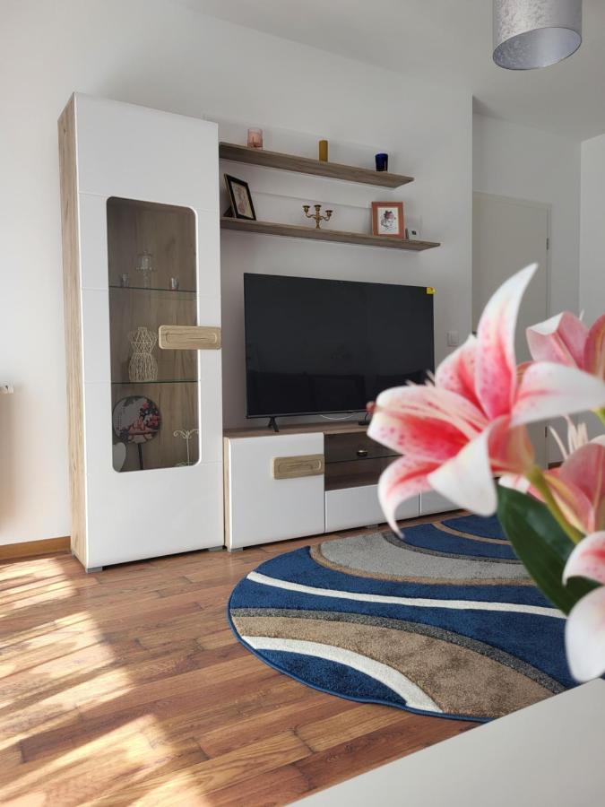 Apartament C&L Brassó Kültér fotó